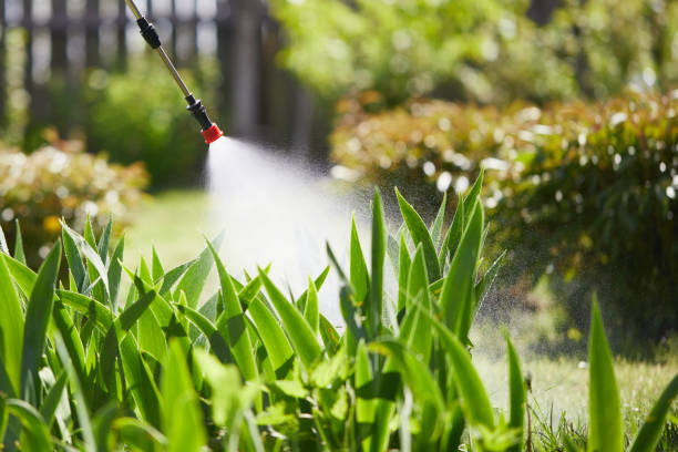 Tamper-Resistant Bait Stations for Rodents in Brodheadsville