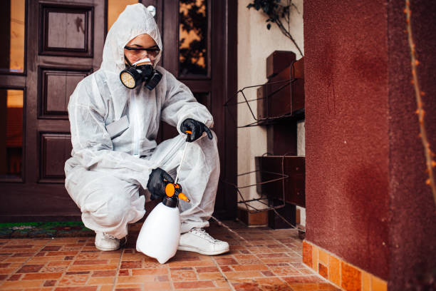 Attic and Crawl Space Rodent Treatment in Brodheadsville