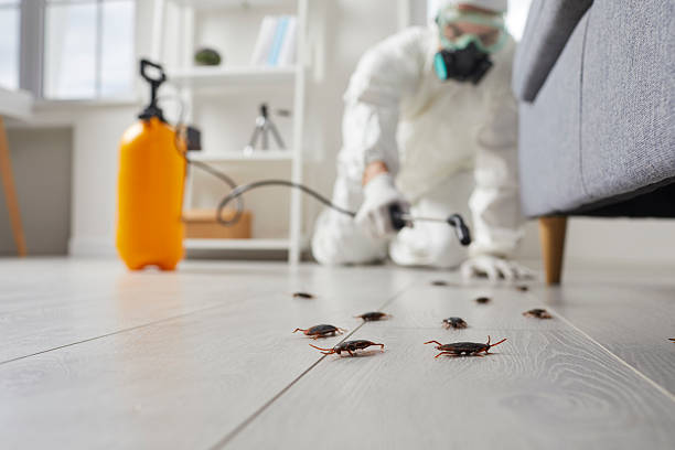 Commercial Rodent Management in Brodheadsville